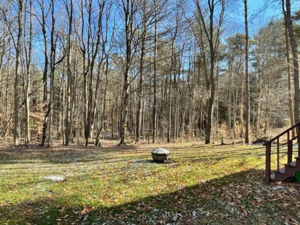 Cozy Cottage Near Cook Forest Park, Anf Marienville Exterior foto